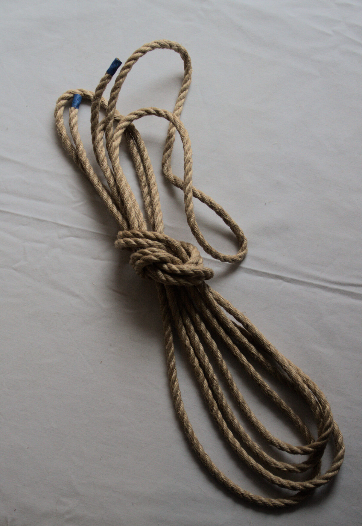 shigeri Jute shibari tau bondage
