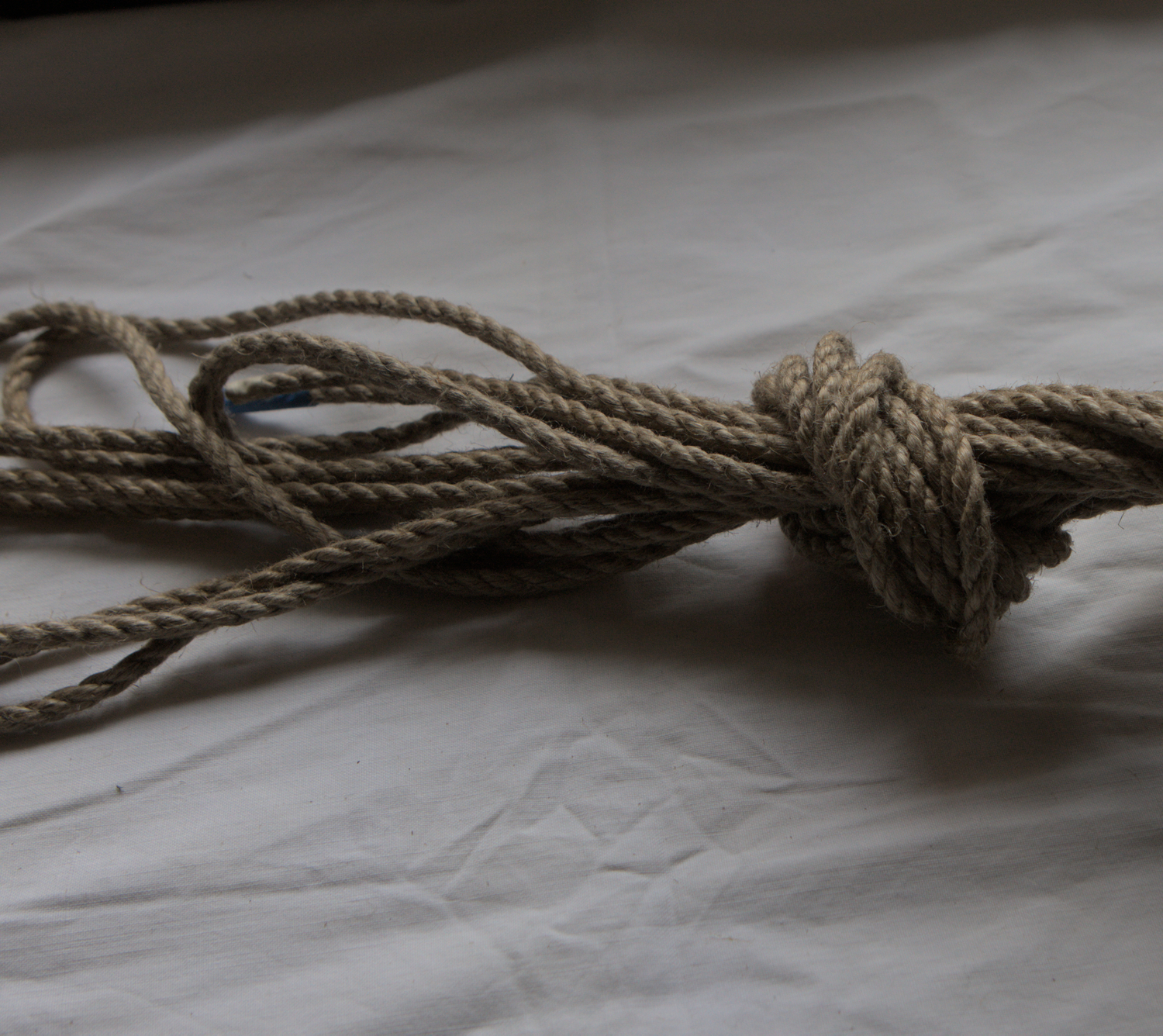 Hardanger Hemp, Behandlet - Bilde 4