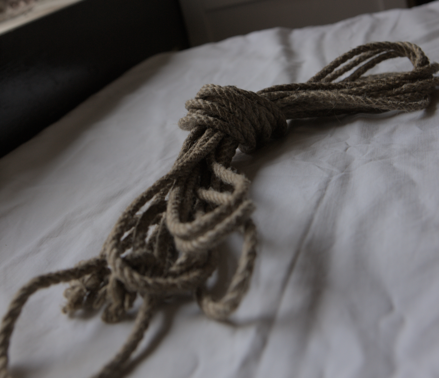 Hardanger Hemp, Behandlet - Bilde 2